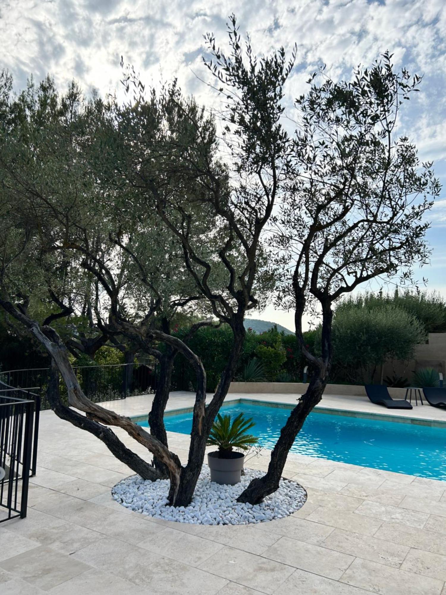 Villa De Charme En Campagne Avec Piscine Privee Et Nature Luxuriante Le Beausset Luaran gambar